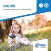 Rigips-broszura-srodowiskowa.pdf.jpg